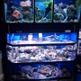 Saltwater Reef Shop Inc