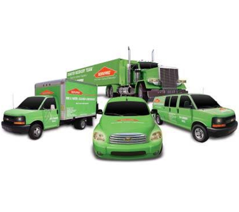 Servpro Of Fredericksburg - Fredericksburg, VA