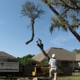 Tree Work By Mitch Drake & Sons