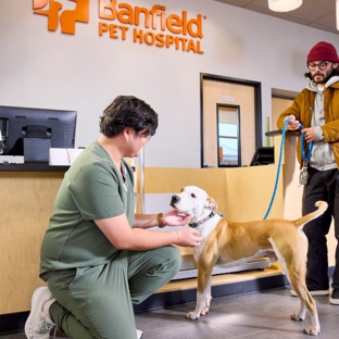 Banfield Pet Hospital - Knoxville, TN