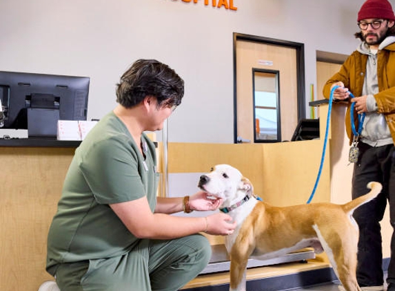 Banfield Pet Hospital - Apex, NC