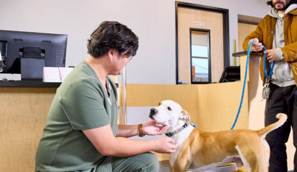 Banfield Pet Hospital - Brighton, CO