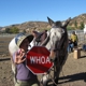 Hunter Valley Riding Academy