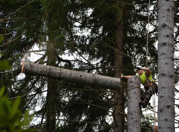 Thunderbird Treescapes - Longbranch, WA