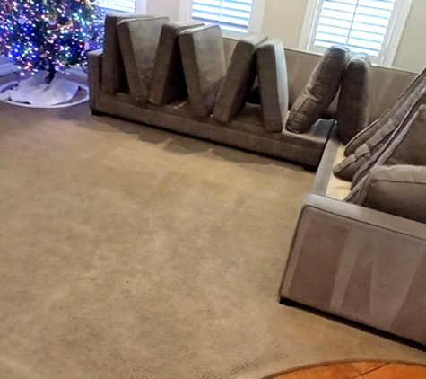 Dust Bunnies of Orange County. A clean couch, clean carpets,  and a tree here in Ladera Ranch.  