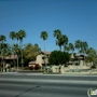 Fountain Palms