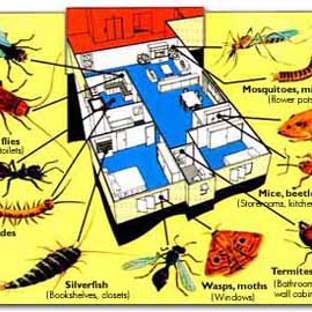 Problem Solved Pest Control - Yonkers, NY