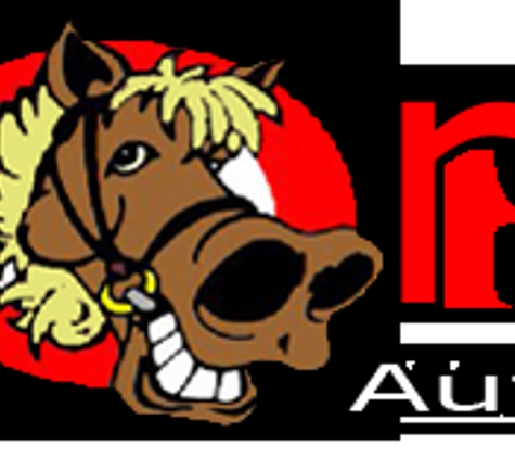 Horse Authority - Alpharetta, GA