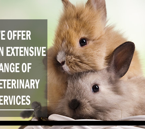 Colonel Light Veterinary Clinic - Colonel Light Gardens, SA. ​We Offer An Extensive Range Of Veterinary Services