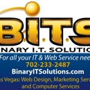 Binary It Solutions, Inc. - Computer Network Design & Systems
