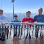 Diamond Ghost Charters