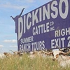 Dickinson Cattle Co gallery