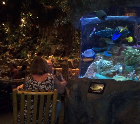 Rainforest Cafe - Lake Buena Vista, FL