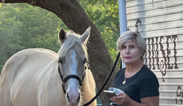 Sunset Riding STABLES....ADULT HORSE  BOARDING - Spring Hill, FL