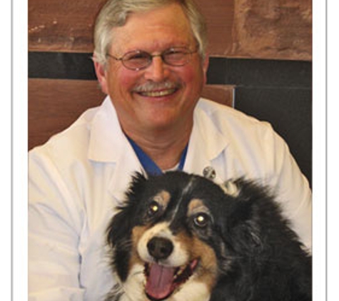 Animal  Ophthalmology Clinic - Dallas, TX