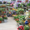 Black Creek Garden & Gift - Garden Centers