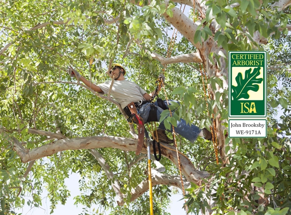 Brooksby Tree Care LLC - Show Low, AZ