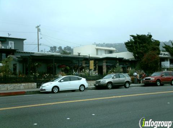 Laguna Nursery - Laguna Beach, CA