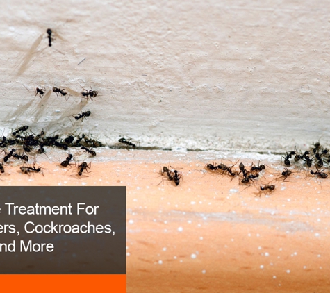 Capricorn Pest Control - Exmouth, WA. Effective Treatment For Ants, Spiders, Cockroaches, And More
