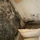 FDP Mold Remediation of Silver Spring - Mold Remediation