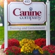 Canine Company