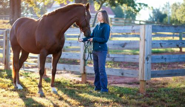 Carolina Equine Hospital - Browns Summit, NC