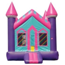 All Pumped Up Bounce House & Party Rentals - Children's Party Planning & Entertainment