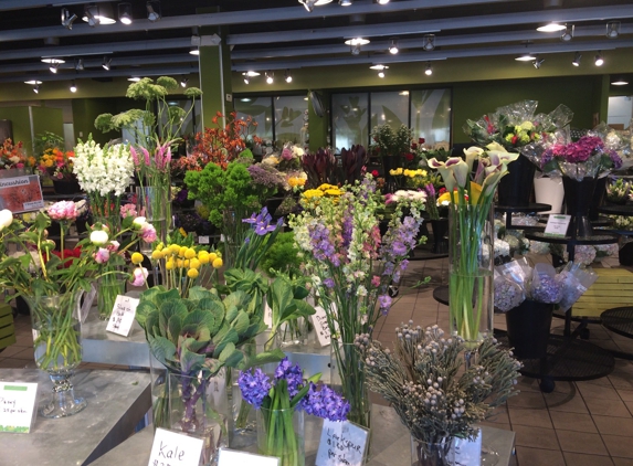 Field of Flowers - Boca Raton Flower Market - Boca Raton, FL