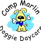 Camp Marlin Doggie Daycare