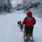 Seavey's Ididaride Sled Dog Tours