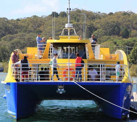 Stradbroke Flyer Gold Cats - Cleveland, QLD