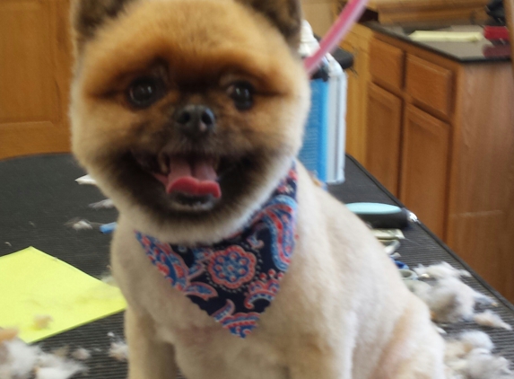 Good Dog! Grooming - Jeannette, PA