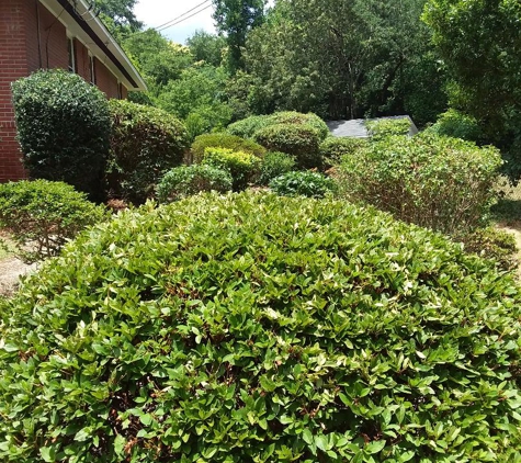 Pro Edge landscaping - Columbus, GA