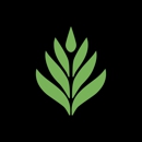 Rainforest Flora, Inc. - Nurseries-Plants & Trees