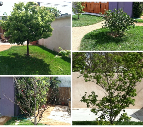 Grannde Landscaping - Inglewood, CA