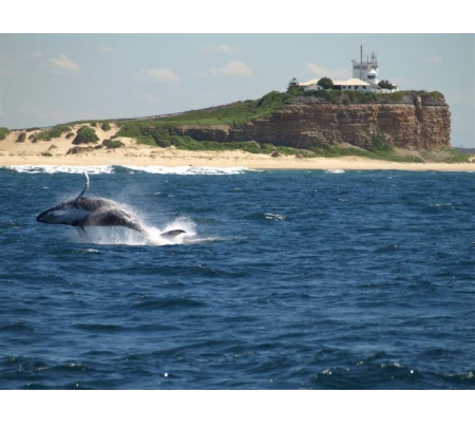 NOVA Cruises - Newcastle, NSW