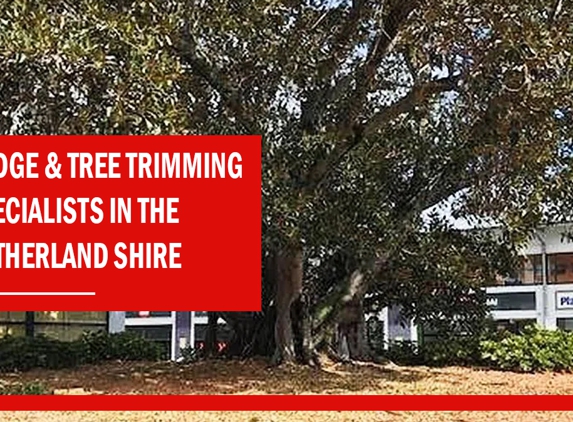Bob and Ben the Tree Men - Kirrawee, NSW. Hedge & Tree Trimming Specialists in the Sutherland Shire.