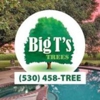 Big T's Trees gallery