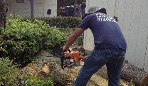 Aaron's Tree Service - Mesquite, TX