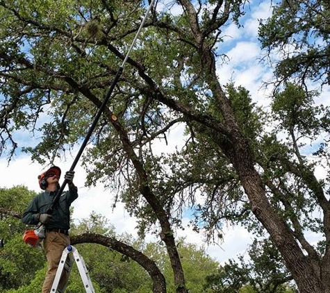 Hill Country Tree Works - Blanco, TX