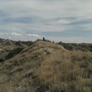 Theodore Roosevelt Natl Park - South Unit - Places Of Interest