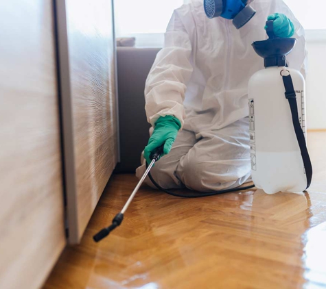 Affordable Pest Control - Nowra, NSW