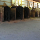 Circle R Ranch - Horse Rentals