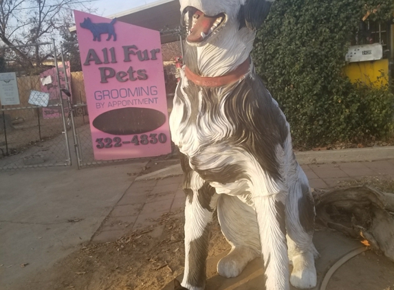 All Fur Pets Grooming - Bakersfield, CA