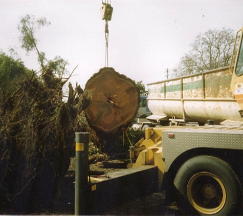 San Leandro Crane Service - Castro Valley, CA