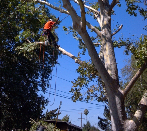 Pacheco Landscape and Pool Construction - Clayton, CA