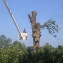 Rowland Tree Service - Tree Service