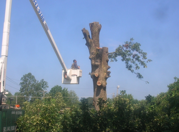 Rowland Tree Service - Beebe, AR