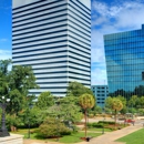 Carolina Premier Window Films-Residential - Glass Coating & Tinting Materials