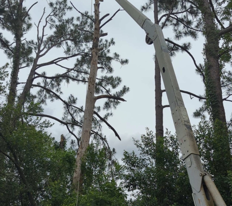 Century Tree and Mulching Service - Leesburg, GA